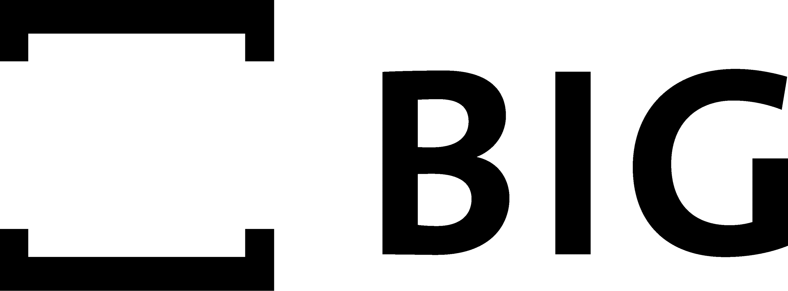 BIG Logo Kurzform Schwarz scaled