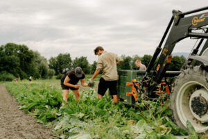 Landwirtschaft als kooperatives Netzwerk